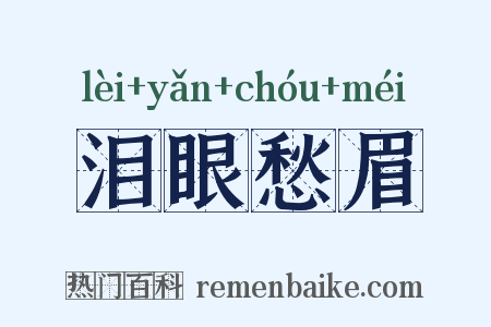 泪眼愁眉是什么意思的图片